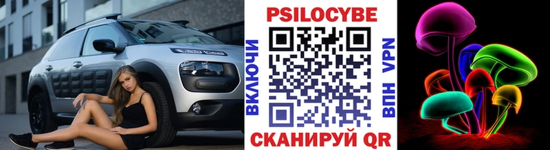 Галлюциногенные грибы прущие грибы  Горячий Ключ 